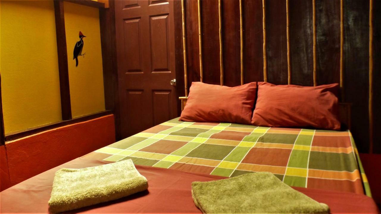 Encanto Lodge Драке Экстерьер фото